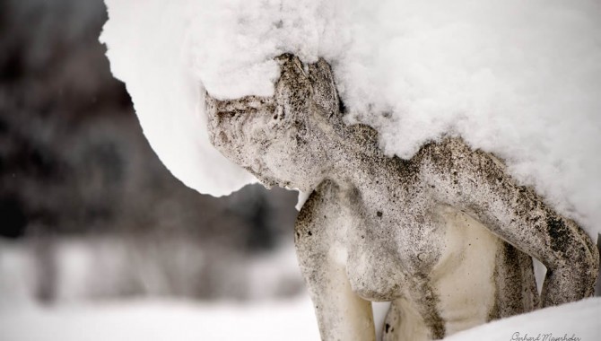 Detailaufnahme Badesee im Winter