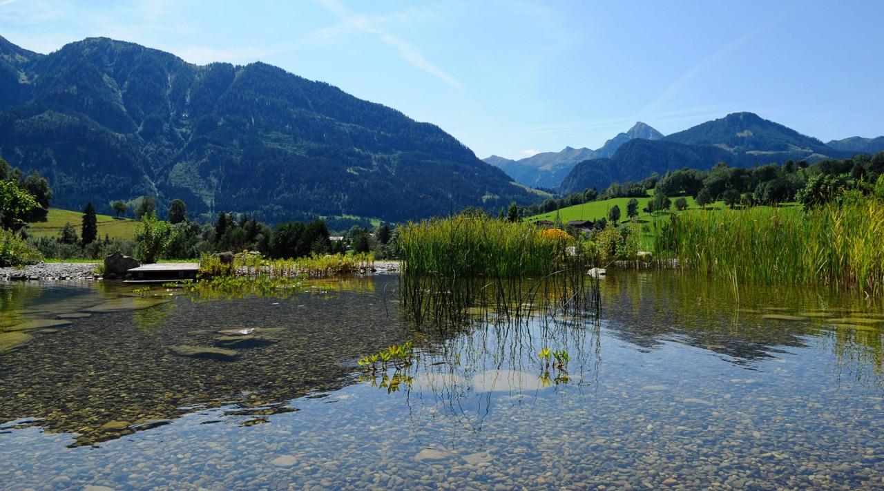 Badeteich direkt an der Sportpension Goldegg mit Ausblick auf die Salzburger Bergwelt
